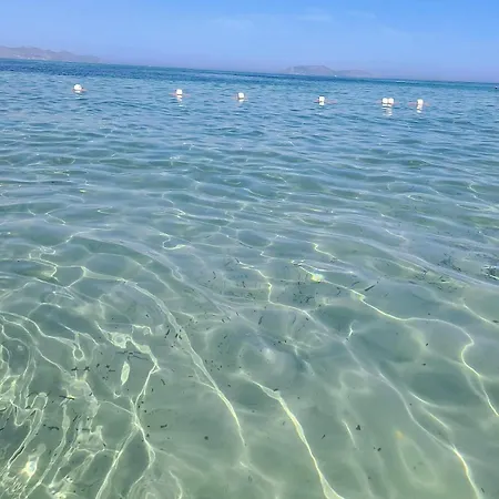 Mare Divino